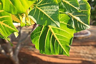 斯宾塞：我拒绝了很多游戏独占Xbox 太糟糕了